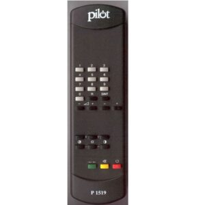 DALJ PILOT P1519<span style="color: gray; font-family: Arial; font-weight: 200;font-size: 14px;"> 2421r</span>