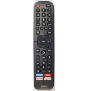 DALJ HISENSE EN2BI27H<span style="color: gray;  font-family: Arial; font-weight: 200;font-size: 14px;"> D388 </span>