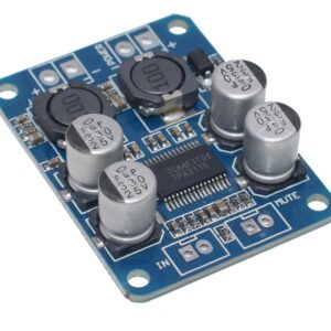 TPA3118 AUDIO MODUL<span style="color: gray; font-family: Arial; font-weight: 200;font-size: 14px;"> B267 </span>